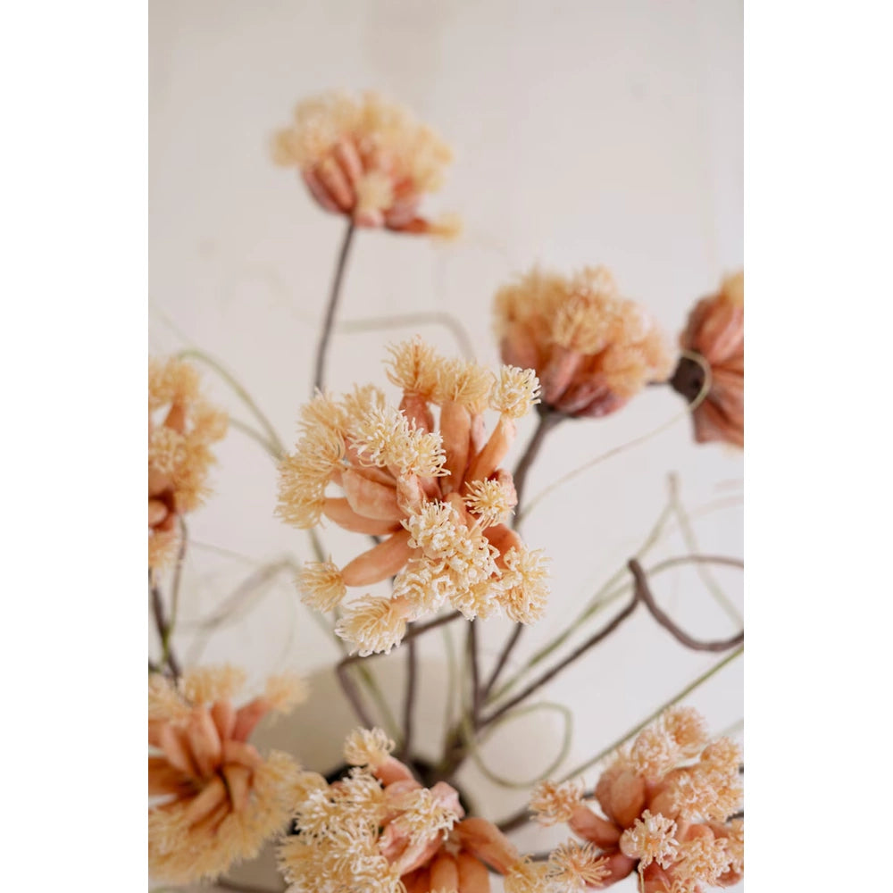 Botanica #2844 — alternate view 3