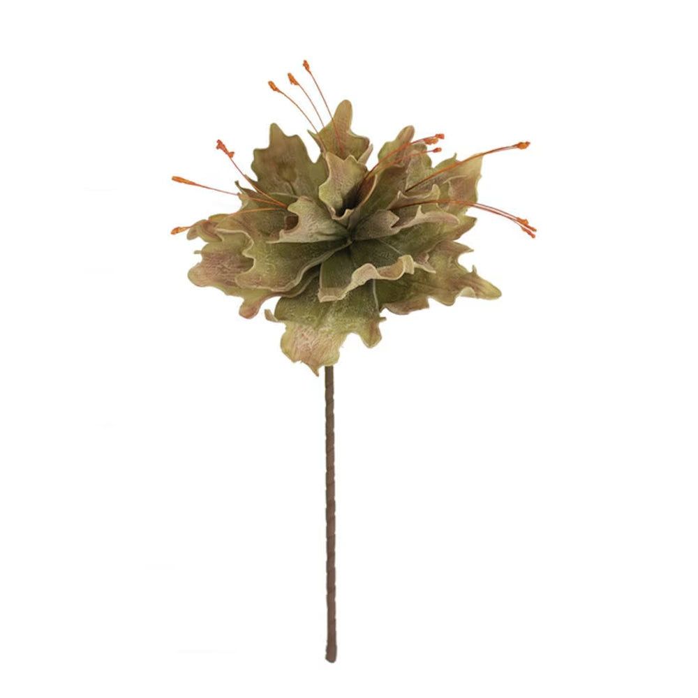 Botanica #2848 — alternate view 2