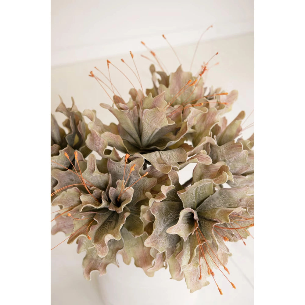 Botanica #2848 — alternate view 3