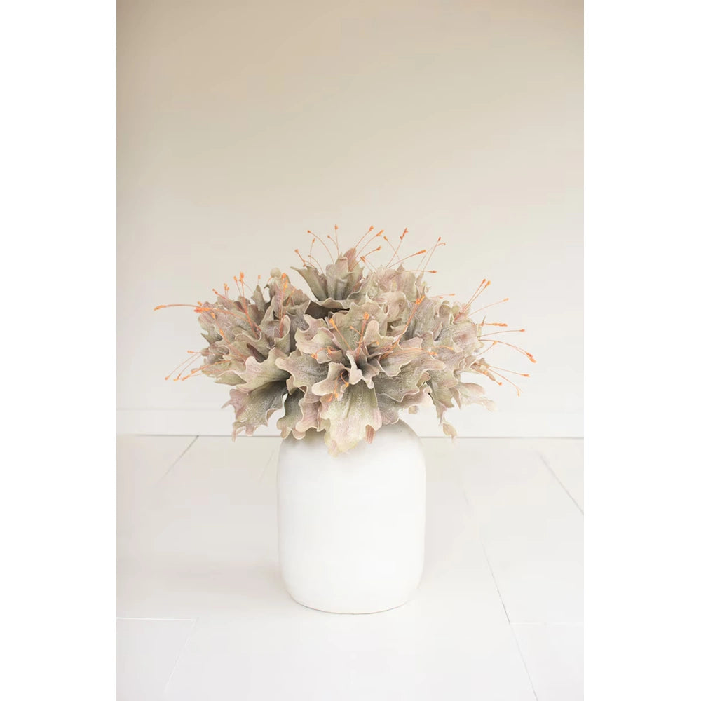 Botanica #2848