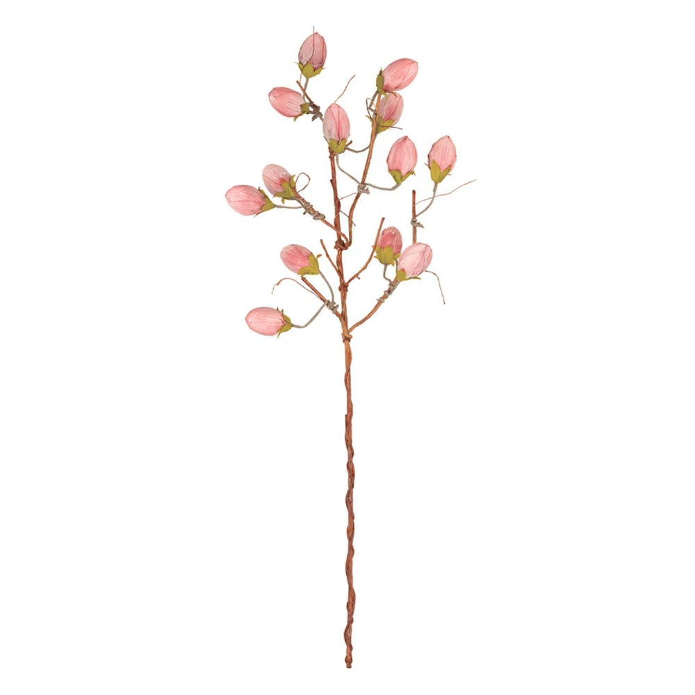 Botanica #3572 — alternate view 2
