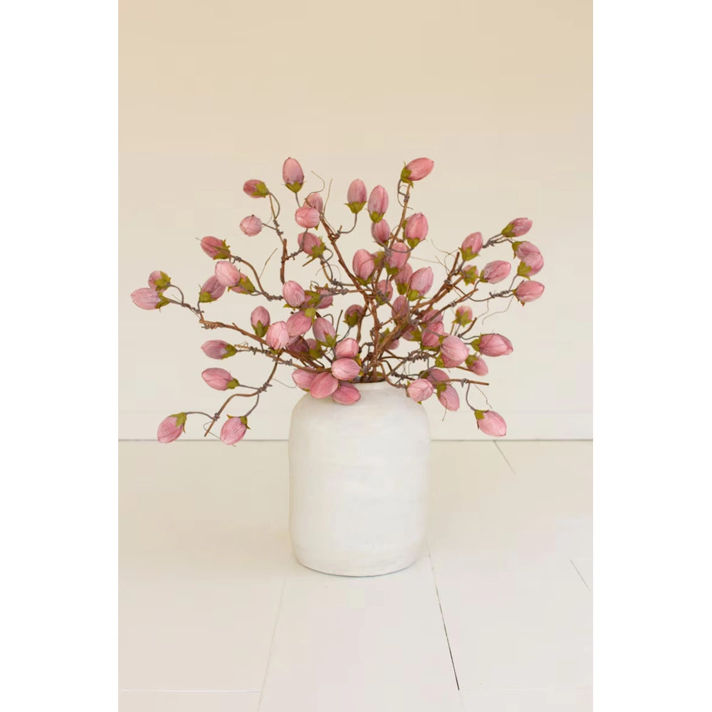 Botanica #3572