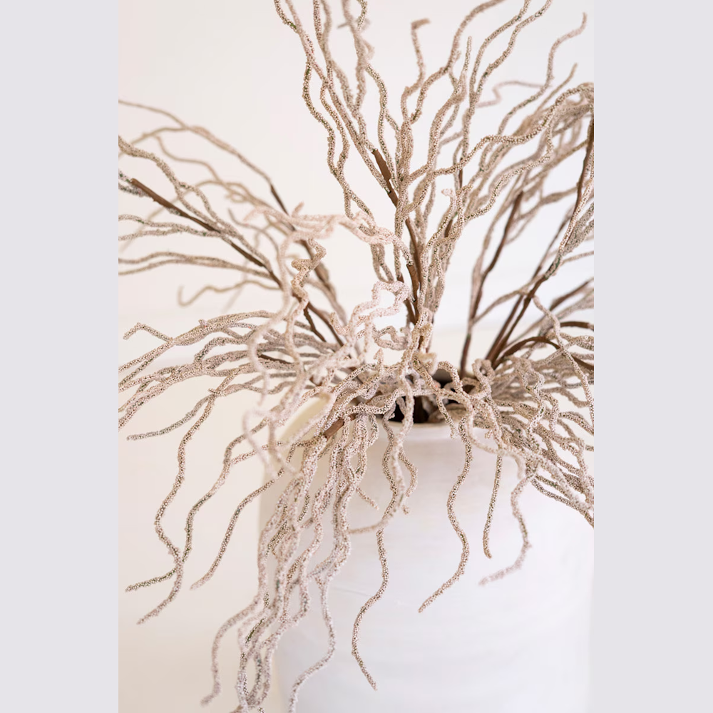 Decorative wavy tan botanica stems in a white vase for minimalist home decor and modern floral arrangements.