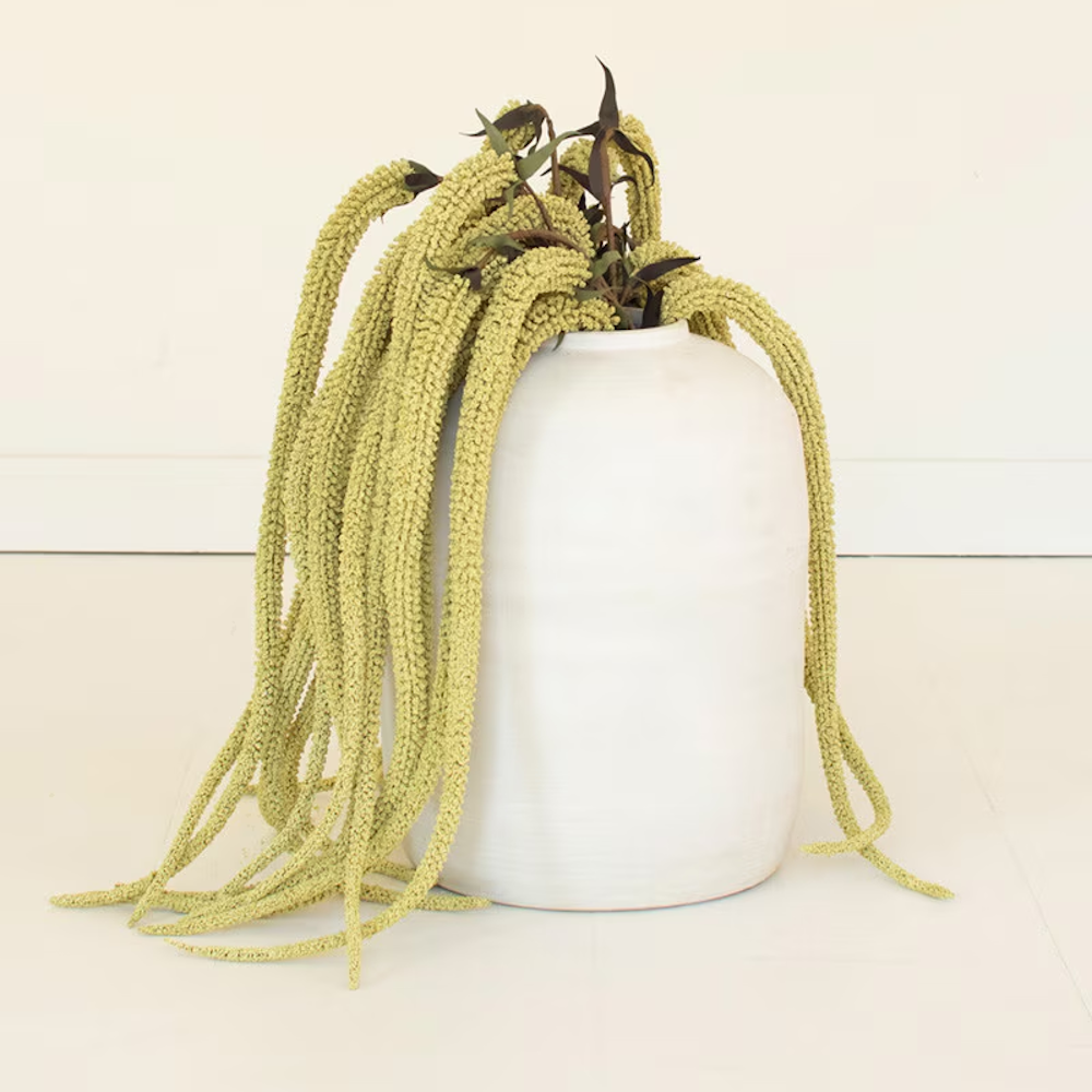 Green hanging amaranth in a white ceramic vase on a white floor.