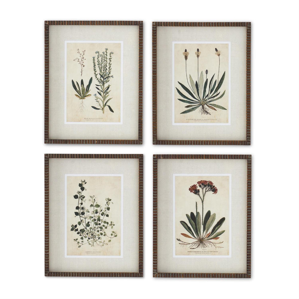 Broadleaf Weed Print with Ribbed Frame - 4 Styles
