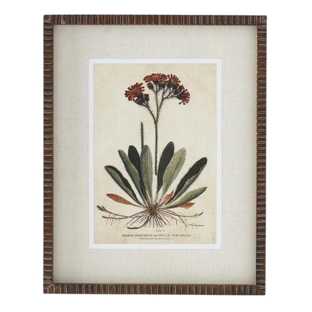 Broadleaf Weed Print with Ribbed Frame - 4 Styles — alternate view 5