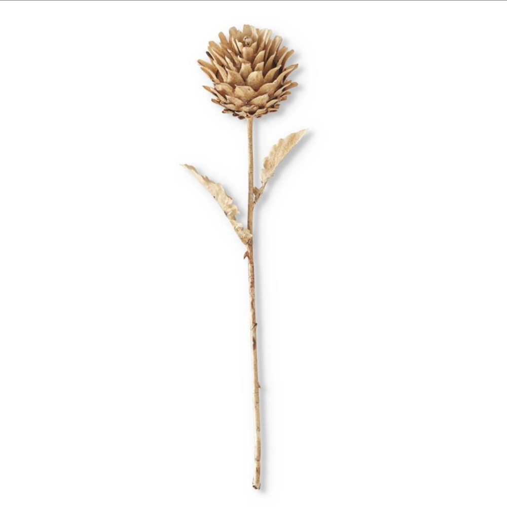 Single dried brown artichoke flower stem on a plain white background.