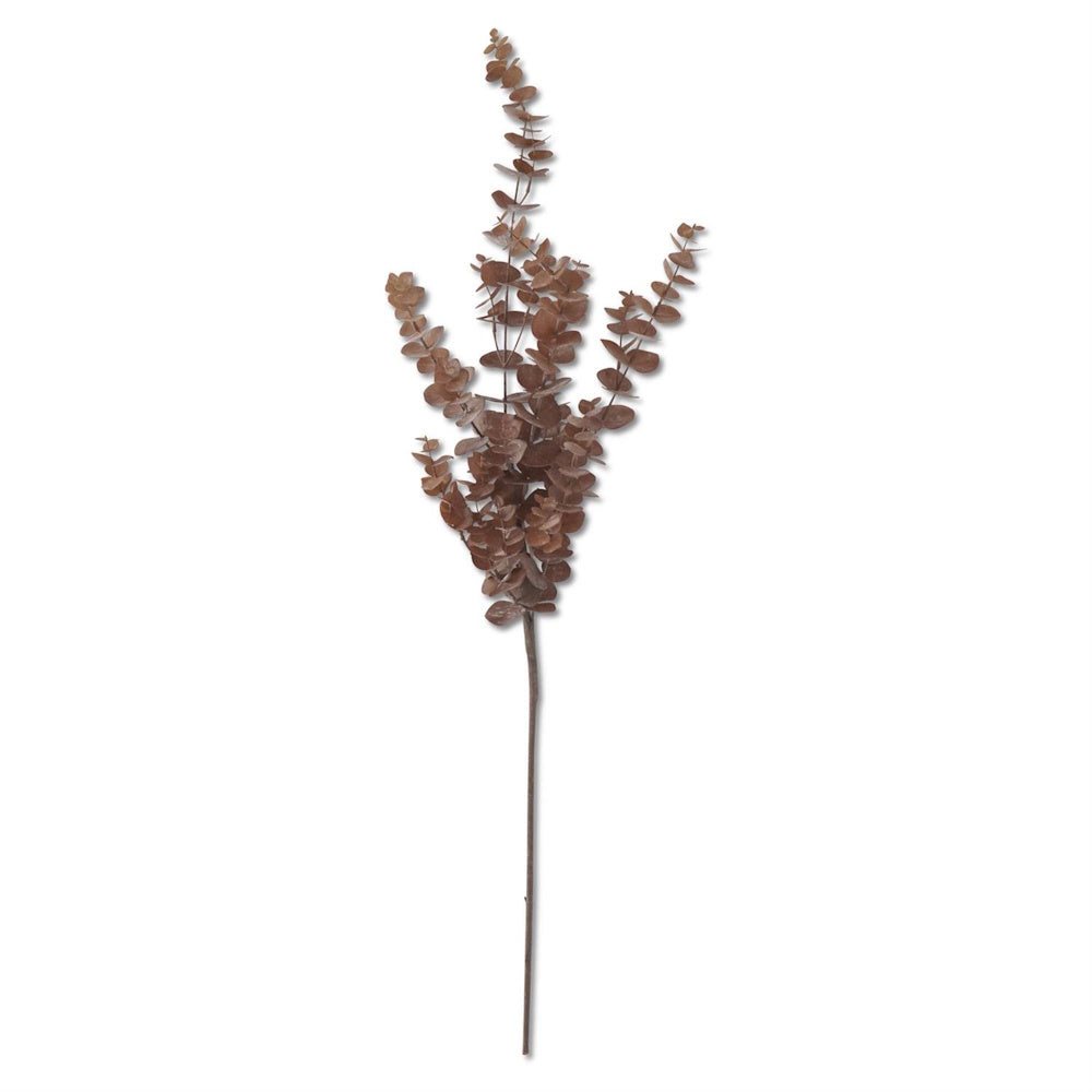A single faux brown eucalyptus stem with multiple branches of rounded leaves on a white background.