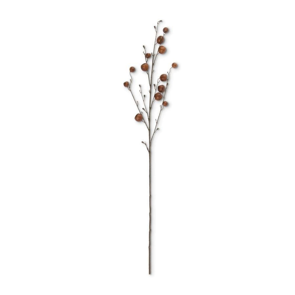 A slender, brown decorative branch featuring small round pods, isolated on a clean white background.