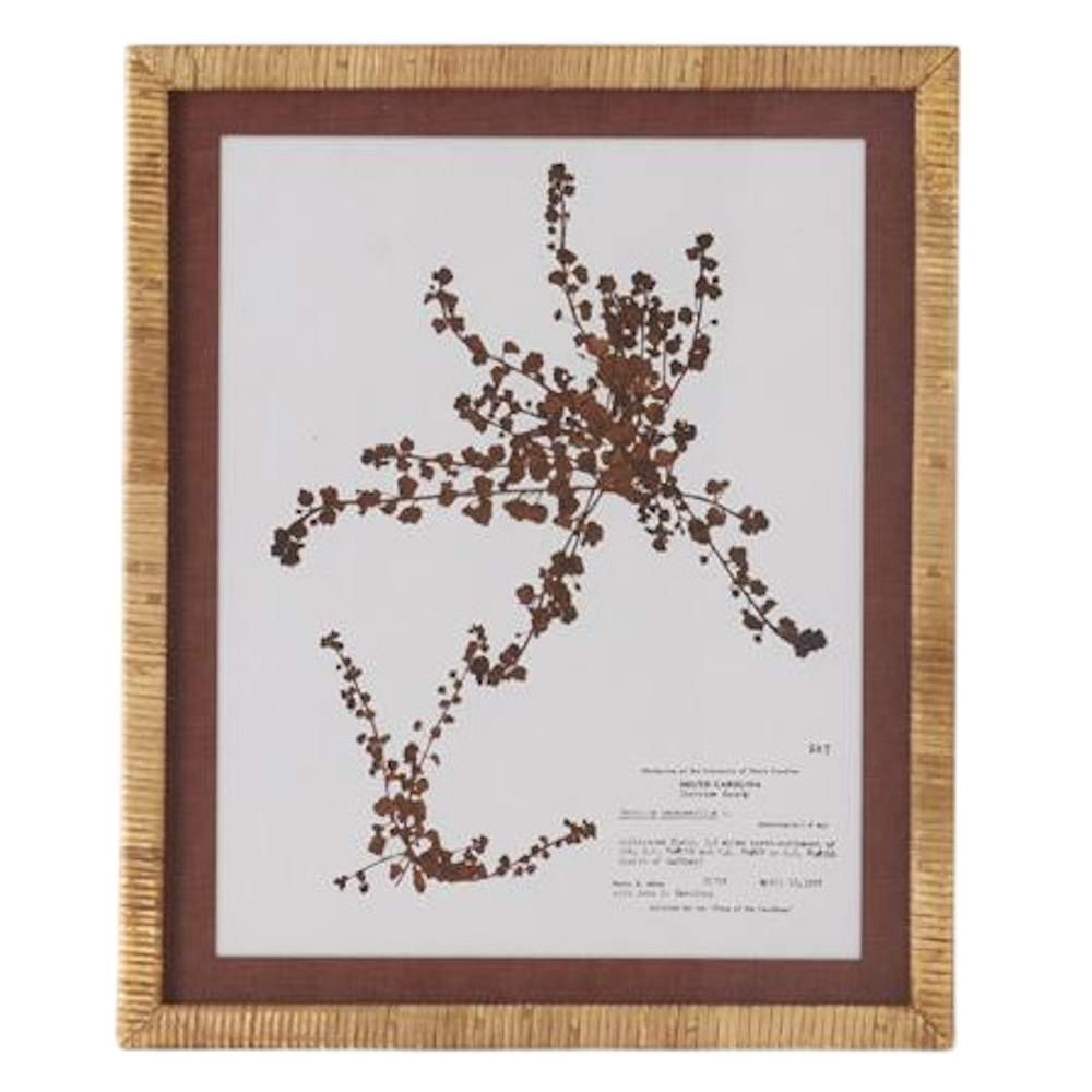 Brown & White Fern Print with Rattan Wrapped Frame - 4 Styles — alternate view 2