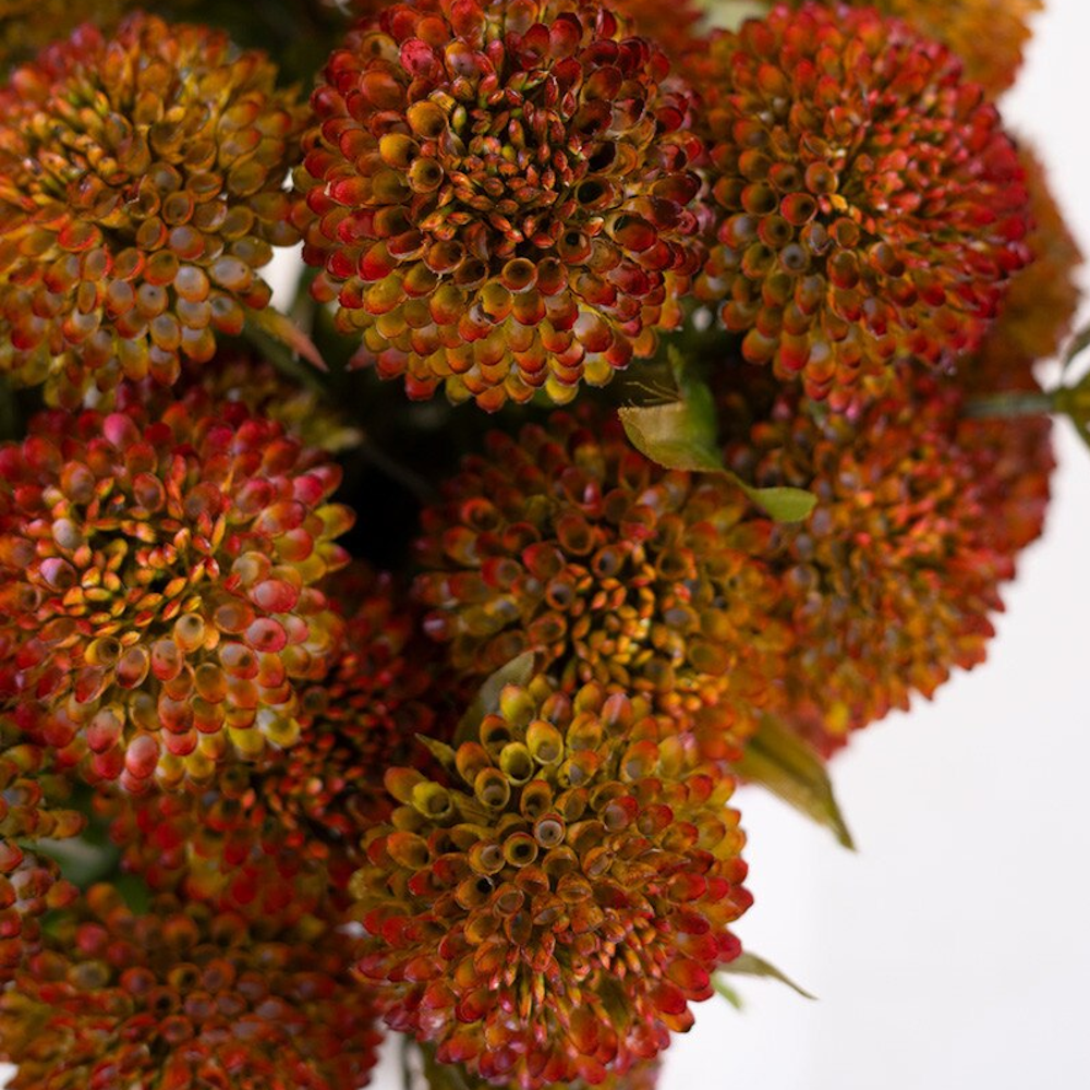 Overhead close-up of artificial auburn ball dahlias highlighting textured, round flower heads.