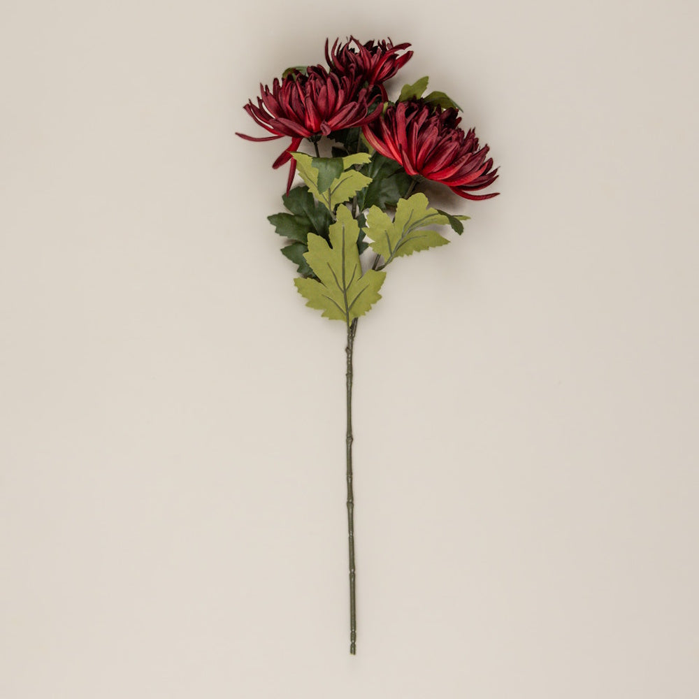 A spray of deep burgundy chrysanthemum flowers with green leaves on a long stem against a plain background.