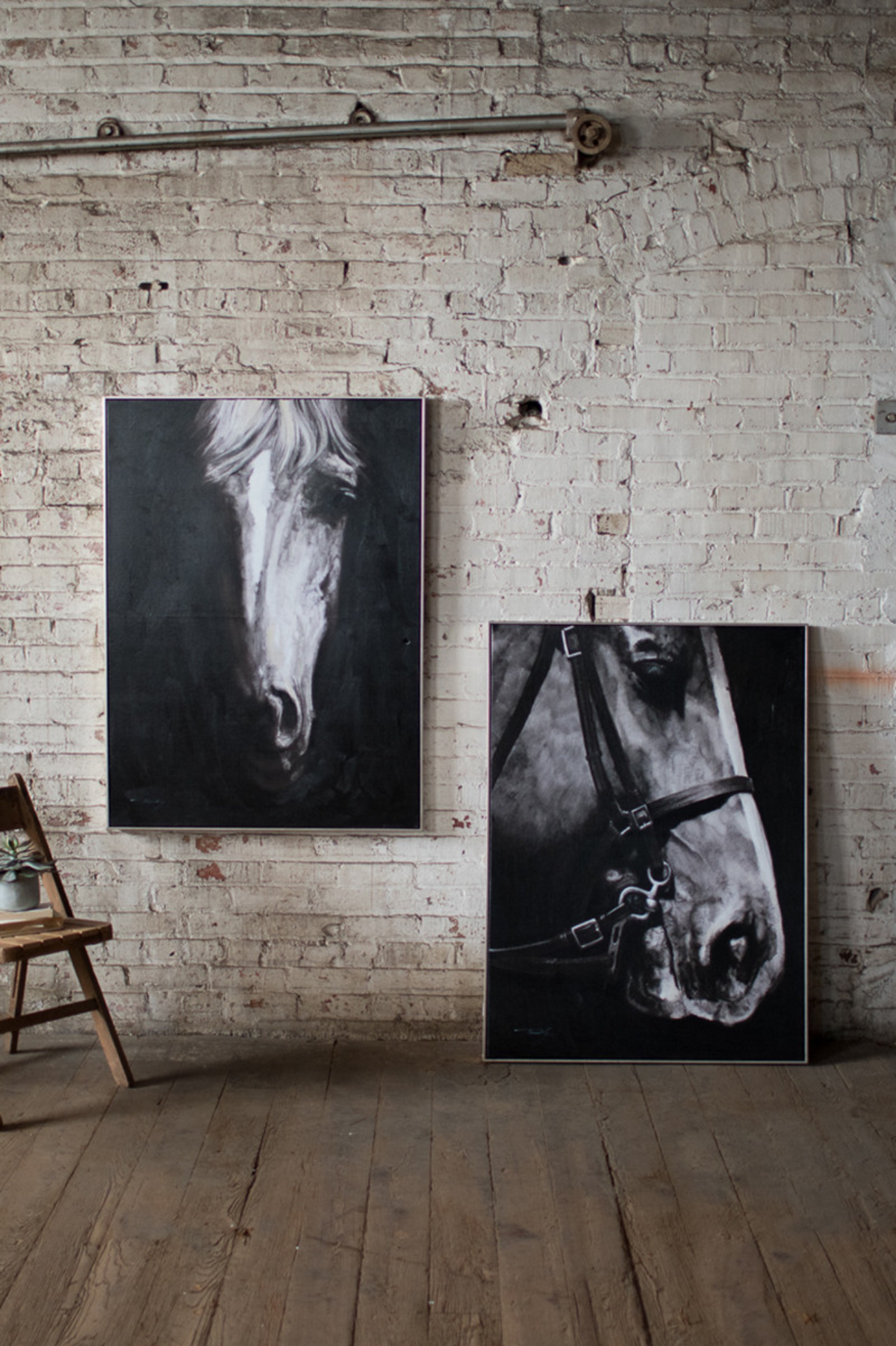 Black & White Front View Horse
