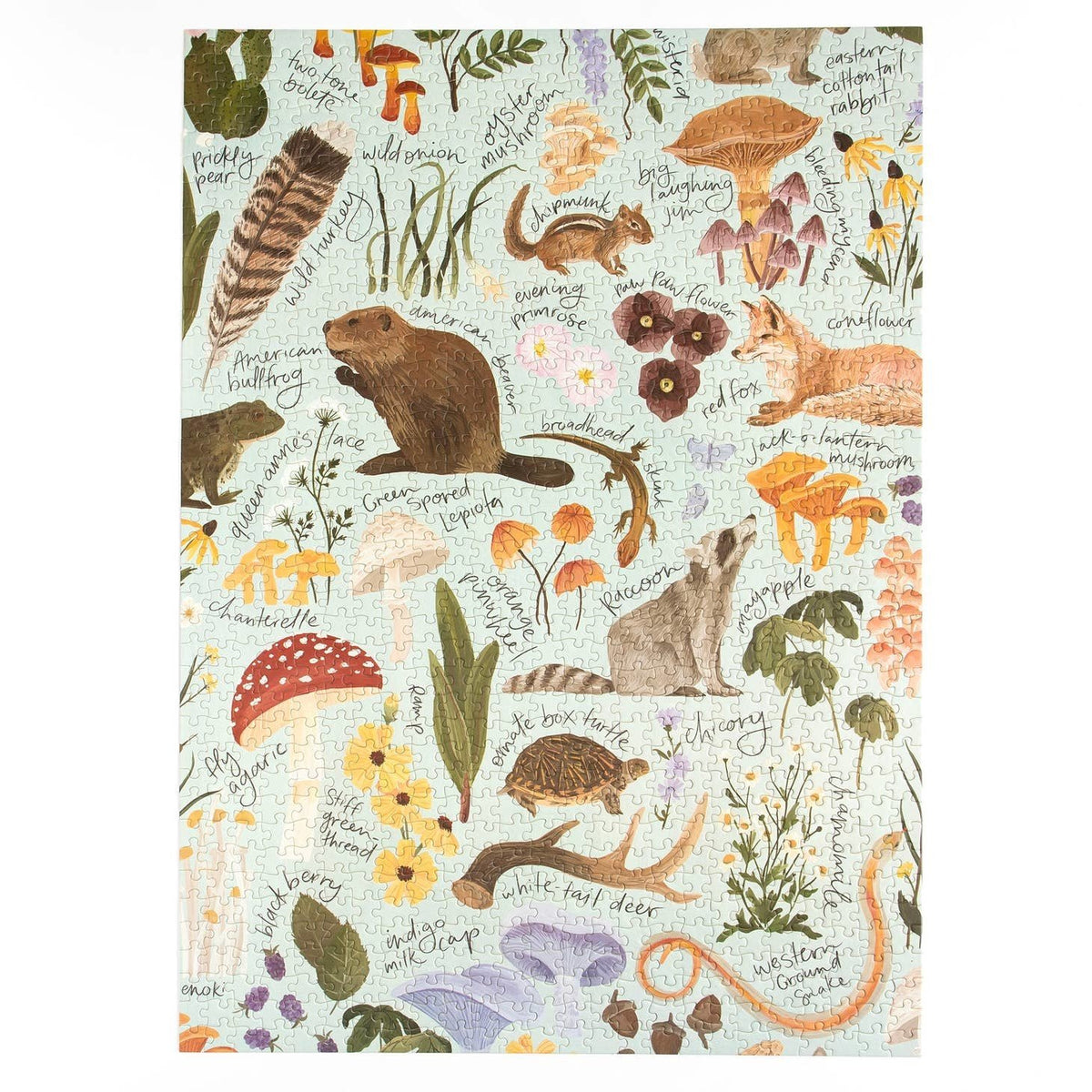 Flora & Fauna - 1,000 Piece Jigsaw Puzzle — alternate view 4
