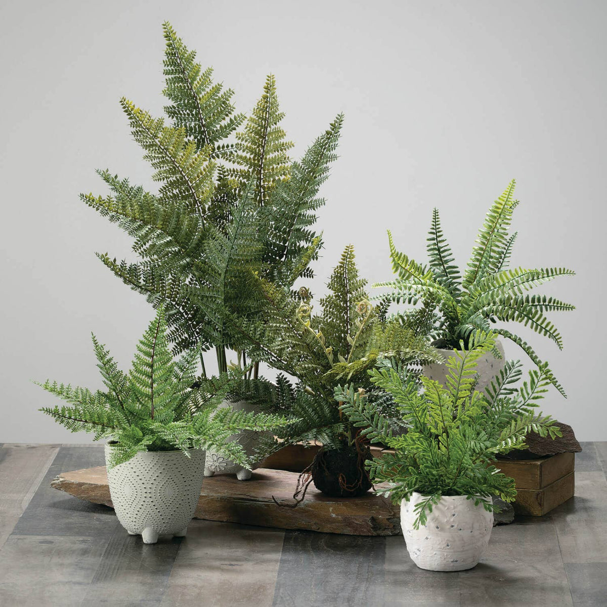 Curated Furniture, Decor & Lifestyle | Miss Daisy’s – Miss Daisy's Home