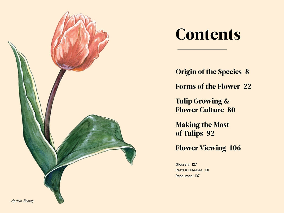 A Little Book of Flowers: Tulips — alternate view 3