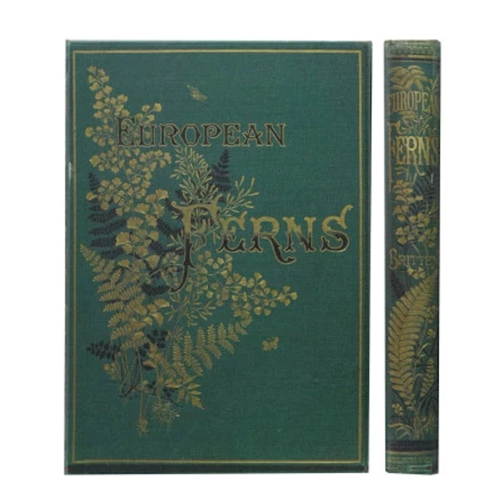 Vintage "European Ferns" green canvas notebook with botanical gold foil design and decorative spine detail.