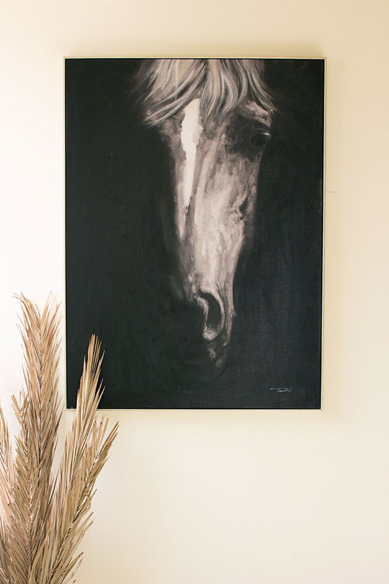 Black & White Front View Horse — alternate view 2