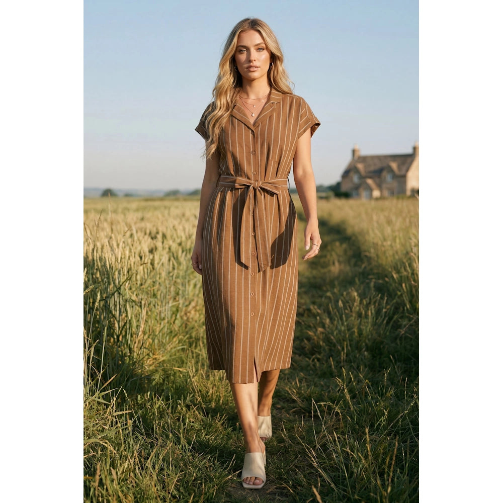 Caramel Drop Short Sleeve Woven Striped Midi Dress