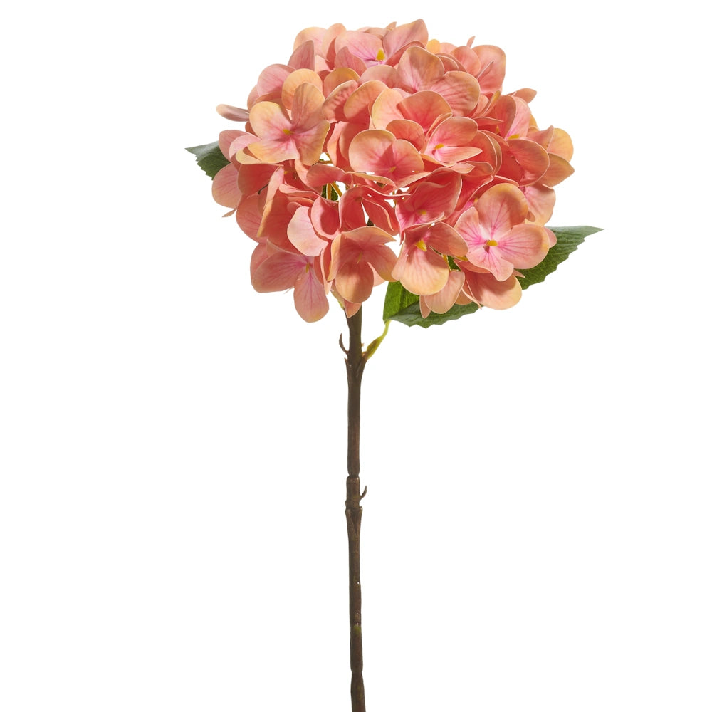 An artificial coral-colored hydrangea flower stem with green leaves against a white background.