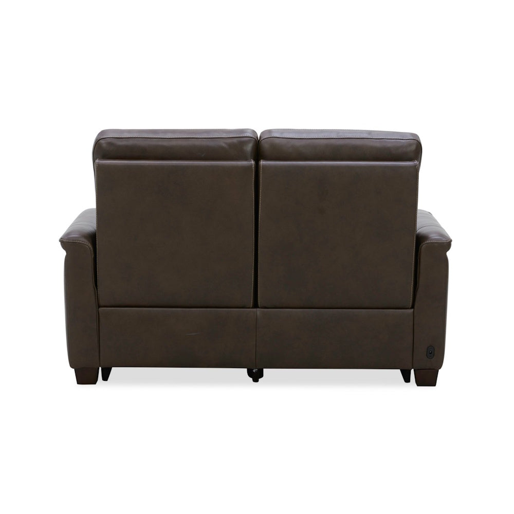Back view of a modern brown leather loveseat recliner on a white background.