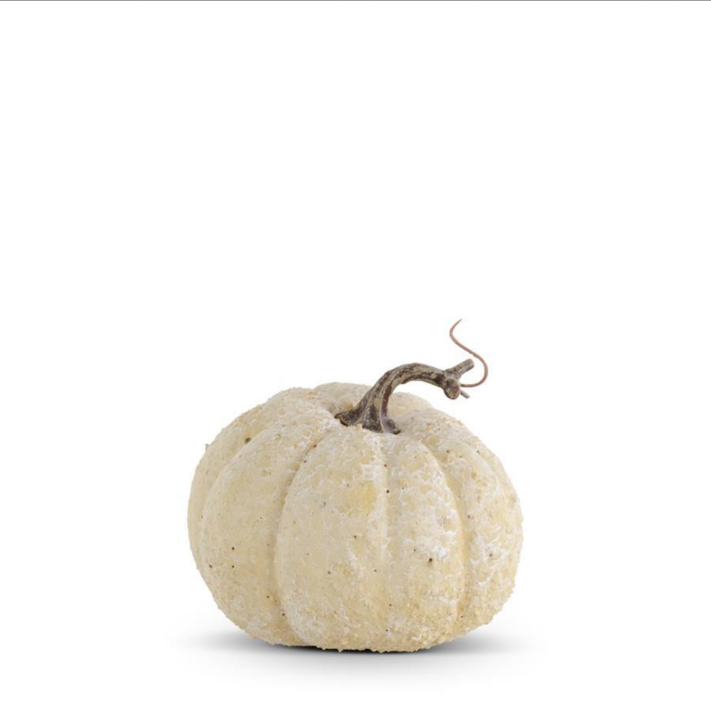 Textured cream decorative pumpkin with a whitewashed finish and a curved brown stem.