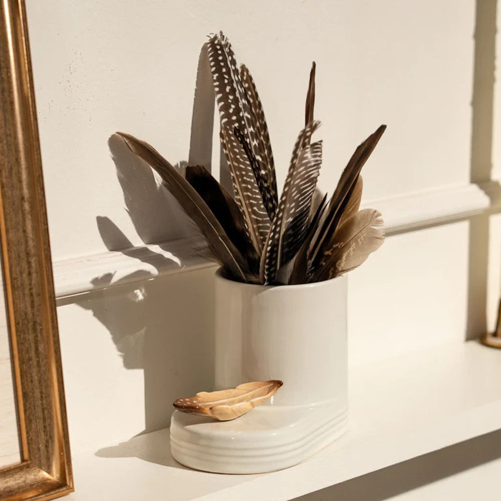 Speckled bird feathers inside a white ceramic holder on a shelf in warm sunlight with crisp shadows.