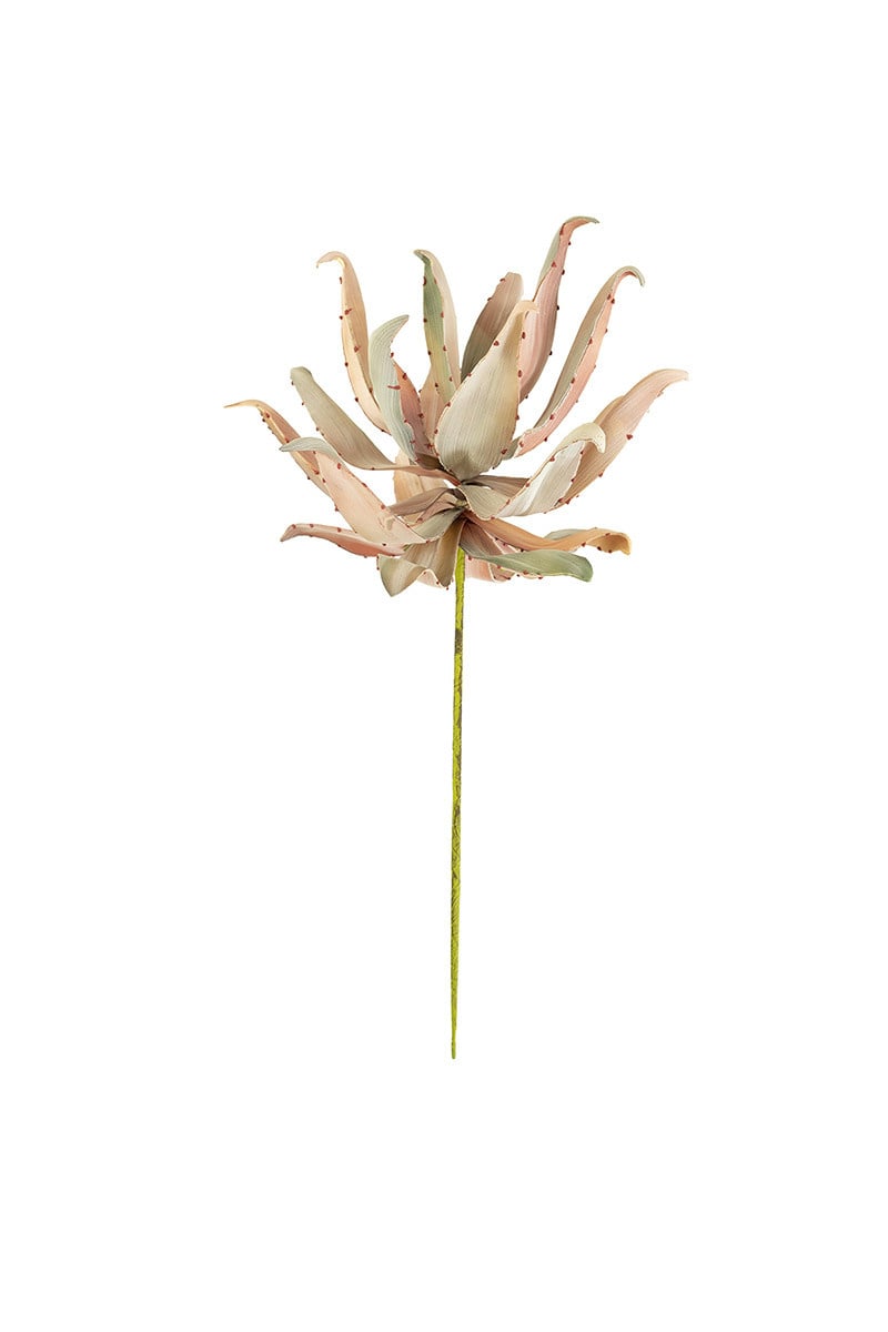 Botanica #3214