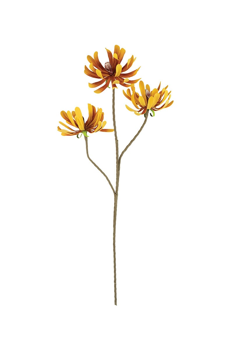 Botanica #2491