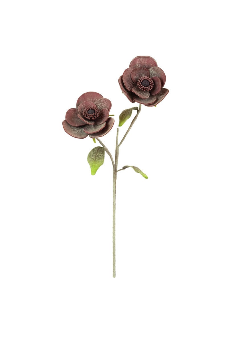 Botanica #2665 — alternate view 2