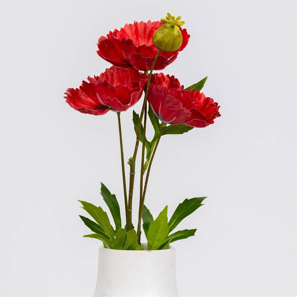 Three vibrant red poppies with a green bud in a white ceramic vase against a plain white background.