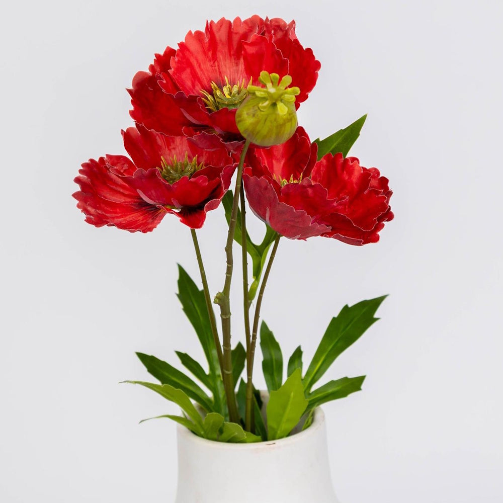 A bouquet of vibrant red poppies and a green bud in a white vase against a plain white background.
