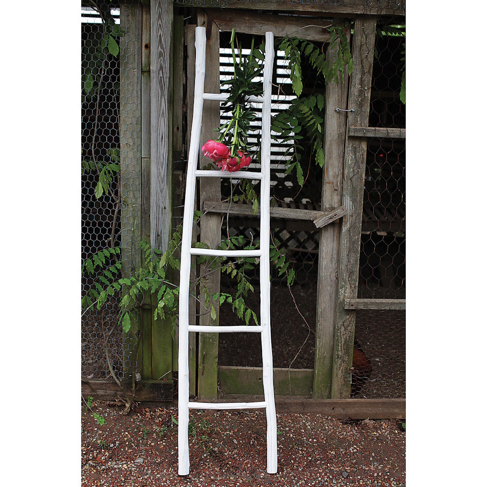 A white-painted wooden ladder with pink flowers hanging on it leans against an old wooden chicken coop structure.