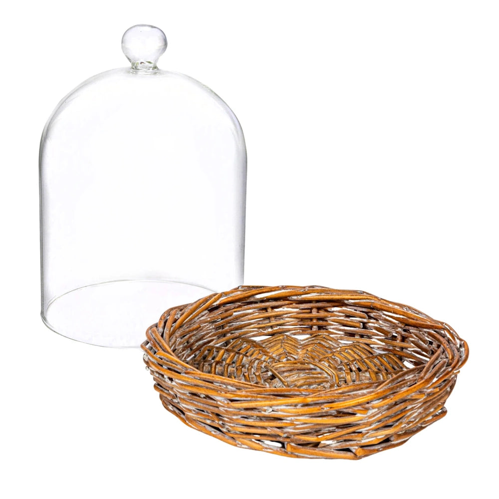 Clear glass cloche lid placed next to a shallow woven brown willow basket base with whitewashed finish.