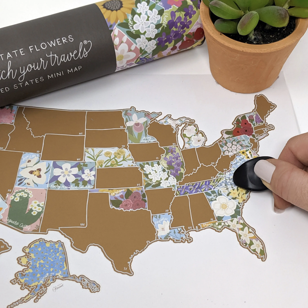 A hand scratches a gold United States map to reveal colorful state flowers, with a map tube and potted succulent.