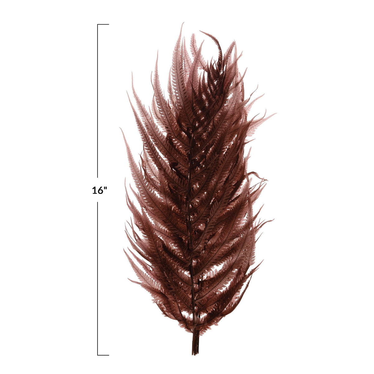 Dried Natural Fern Leaf , Rose Color — alternate view 2