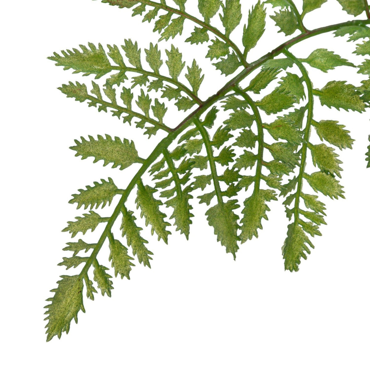 Faux Fern Tree in Plastic Pot — alternate view 3