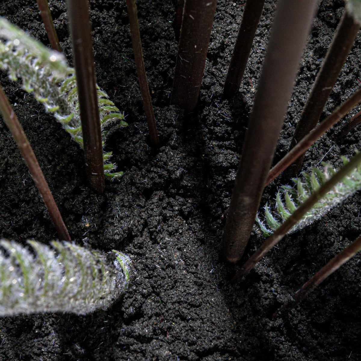 Faux Fern Tree in Plastic Pot — alternate view 4