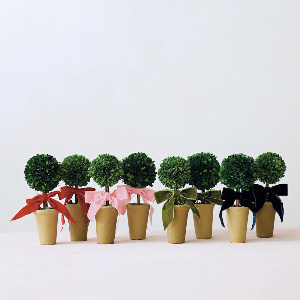 Row of mini preserved boxwood topiaries in terracotta pots tied with red, pink, green, and black bows.