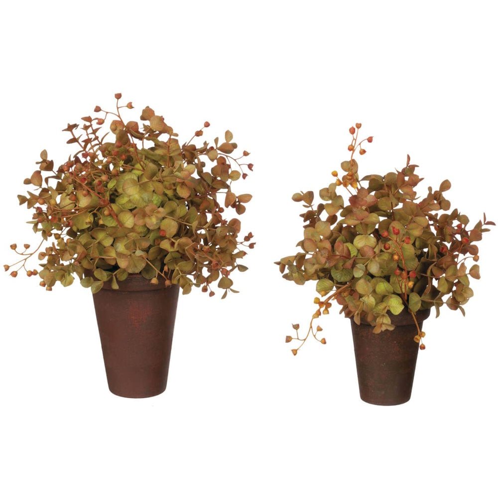 Two faux eucalyptus potted plants with brownish-green leaves and small berries on white background.