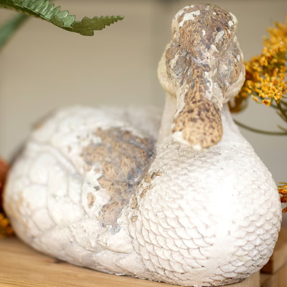 Front view close-up of a weathered white and brown pintail duck statue sitting on a wooden surface.