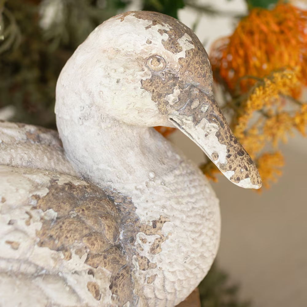 Close-up of the weathered head and bill of a rustic pintail duck statue with a distressed finish.