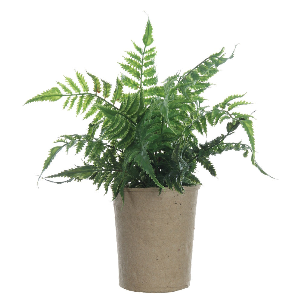 Lush green faux fern in a neutral paper pot against a white background.