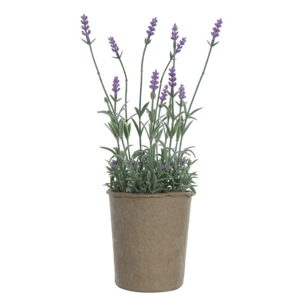 Artificial lavender plant with purple blossoms in a small brown paper mache pot against a white background.