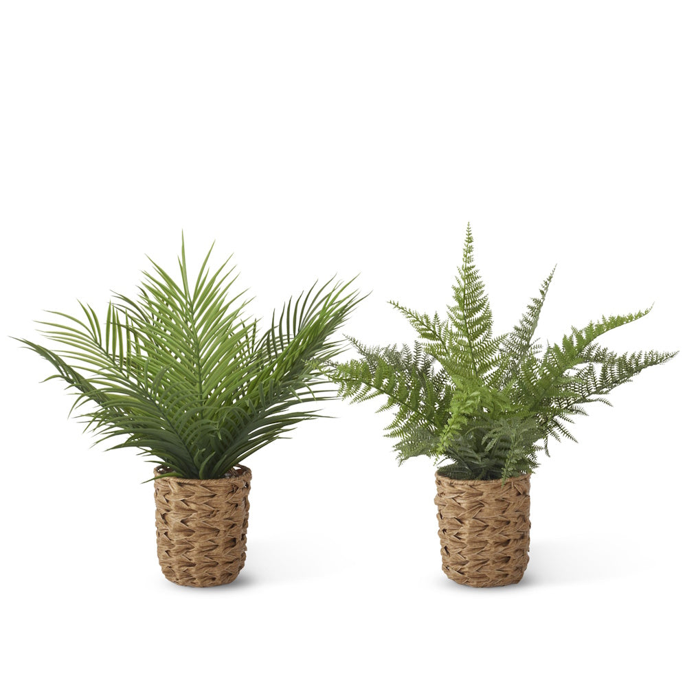 Two artificial ferns in woven wicker pots against a white background.