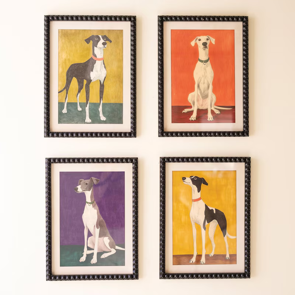 Four framed hound dog art prints under glass displayed in a 2x2 grid on a plain wall.