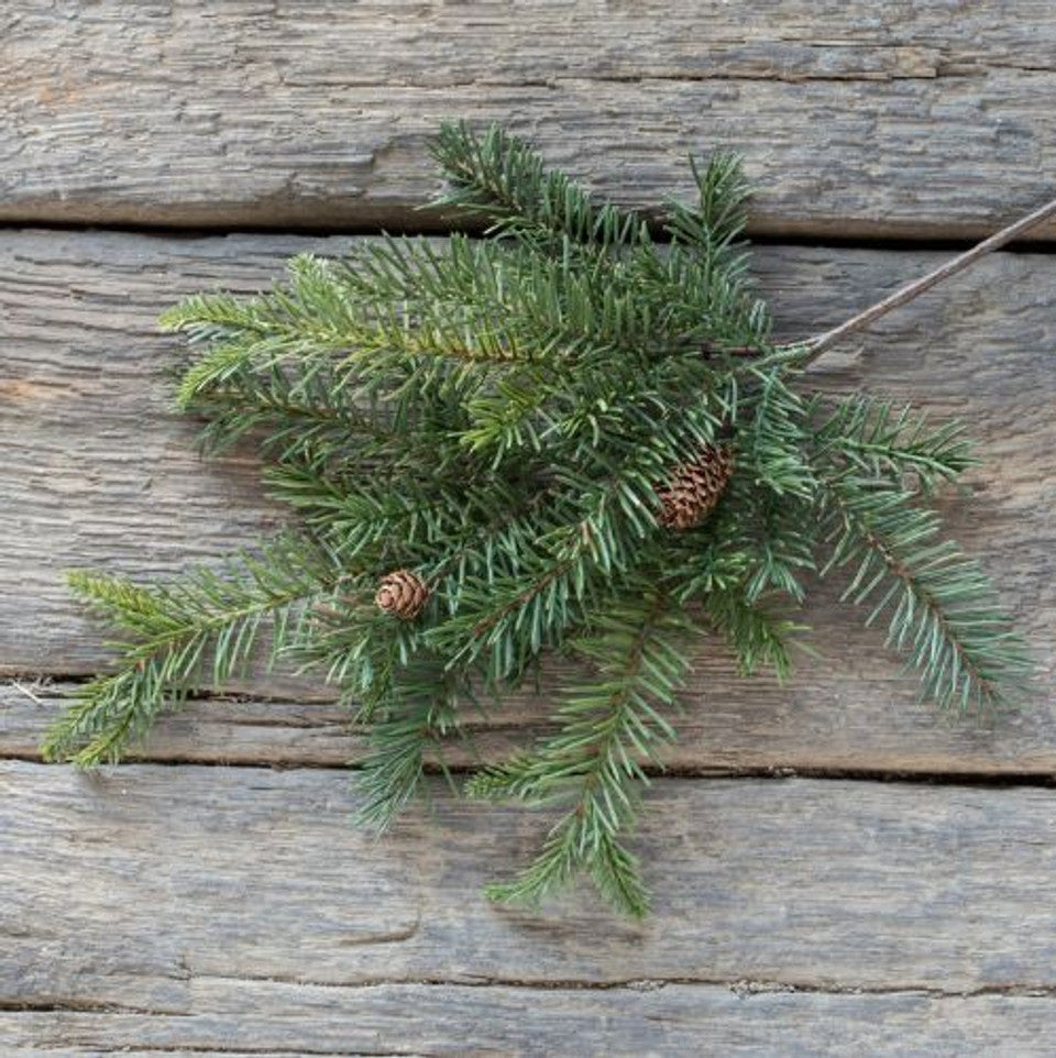Douglas Fir Spray with Cones — alternate view 2