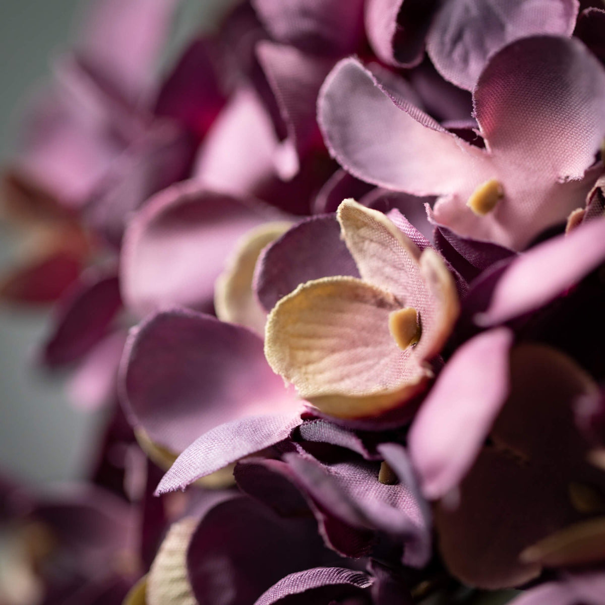 Purple Hydrangea Stem — alternate view 2