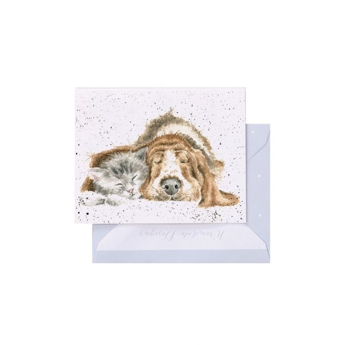"Dog and Cat Nap" Enclosure Card