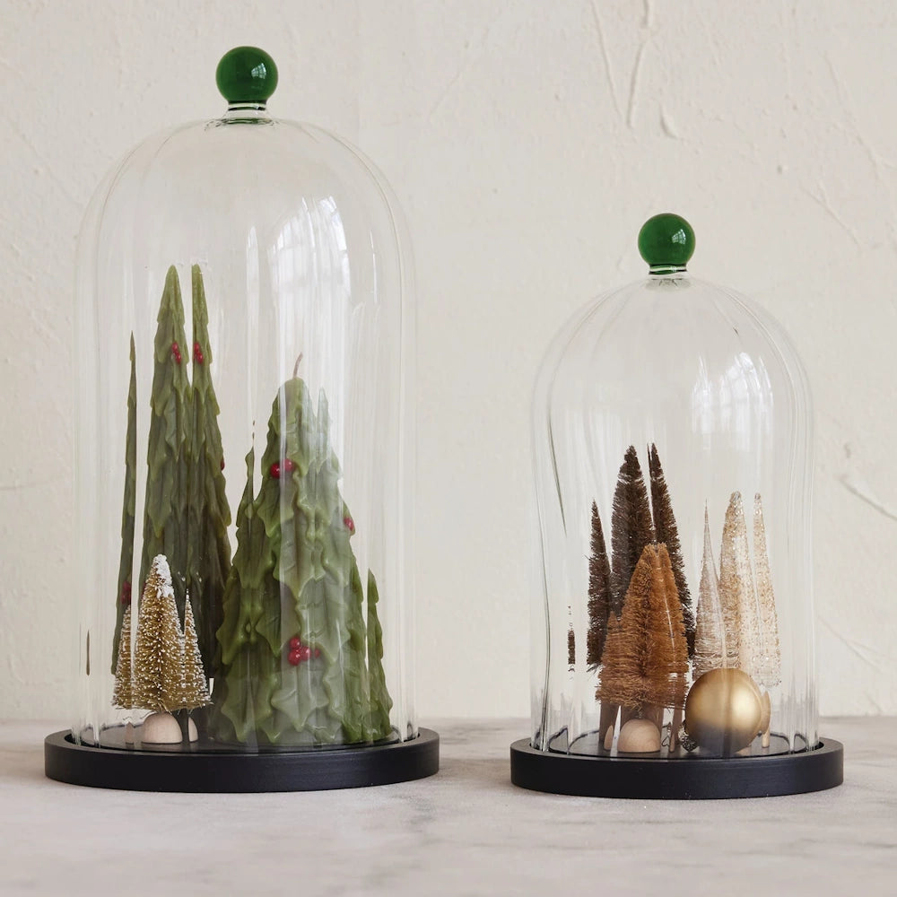 Glass Cloche with Wood Base & Handle — alternate view 2